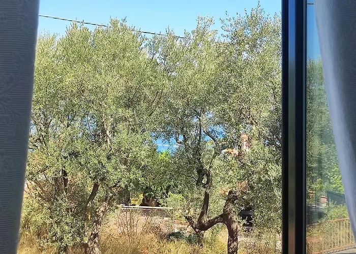 Lally's Garden Bed & Breakfast