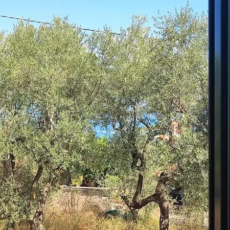 Lally's Garden Bed & Breakfast