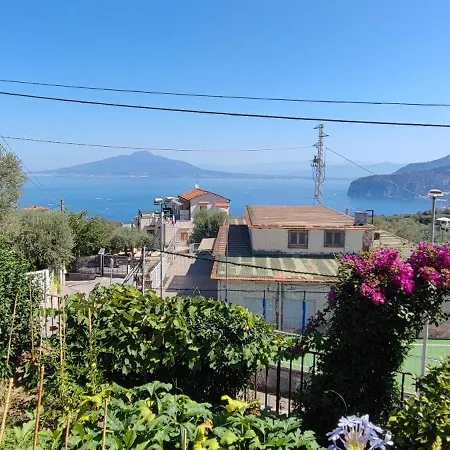 Lally's Garden Sorrento