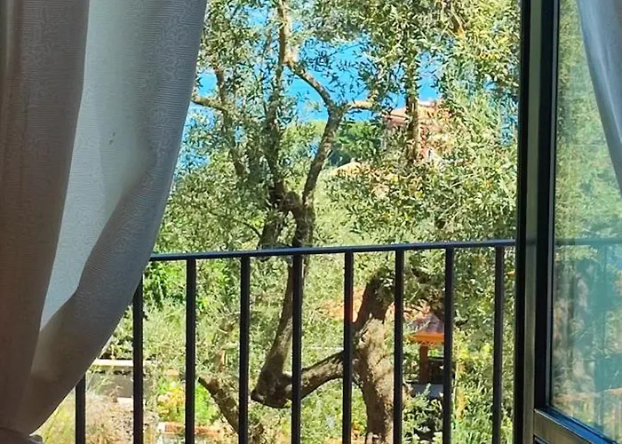 Lally's Garden Sorrento