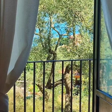 Lally's Garden Sorrente