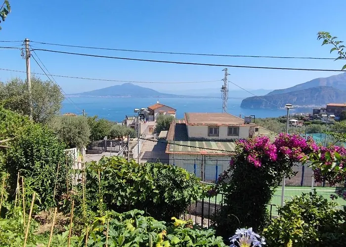 Lally's Garden Sorrento